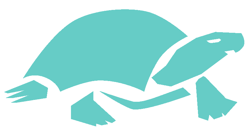 tartaruga azzurra simbolo del green beach