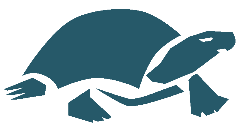 tartaruga blu simbolo del green beach