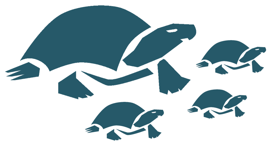 tartaruga con piccoli tartarughini simbolo del green beach