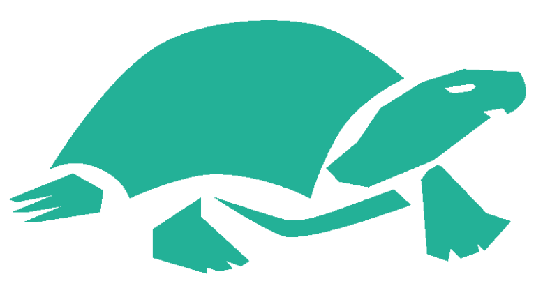 tartaruga azzurra simbolo del green beach